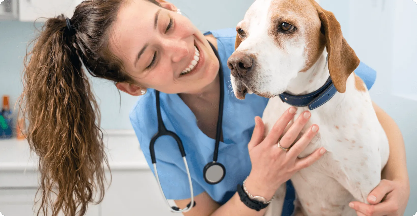 Veterinarian petting a dog.